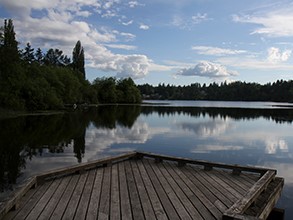 Long Lake Park - Lake